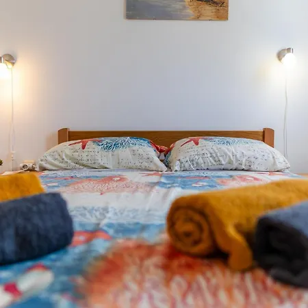 Mivema * بريفلاكا